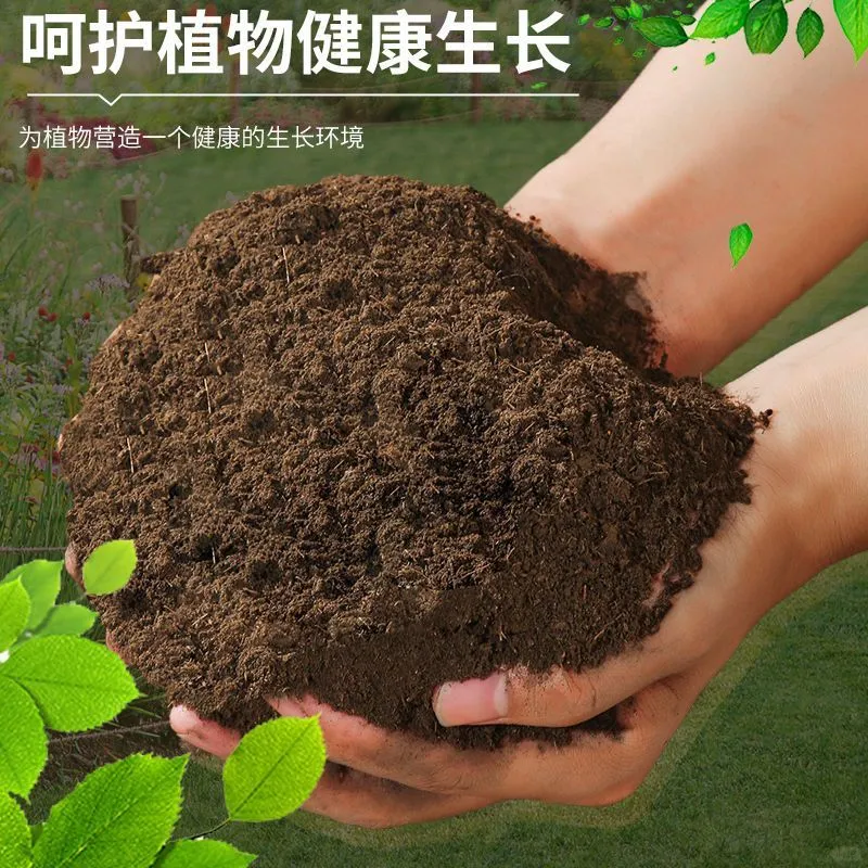 【土壤活化剂】让你的花园秒变“绿野仙踪”