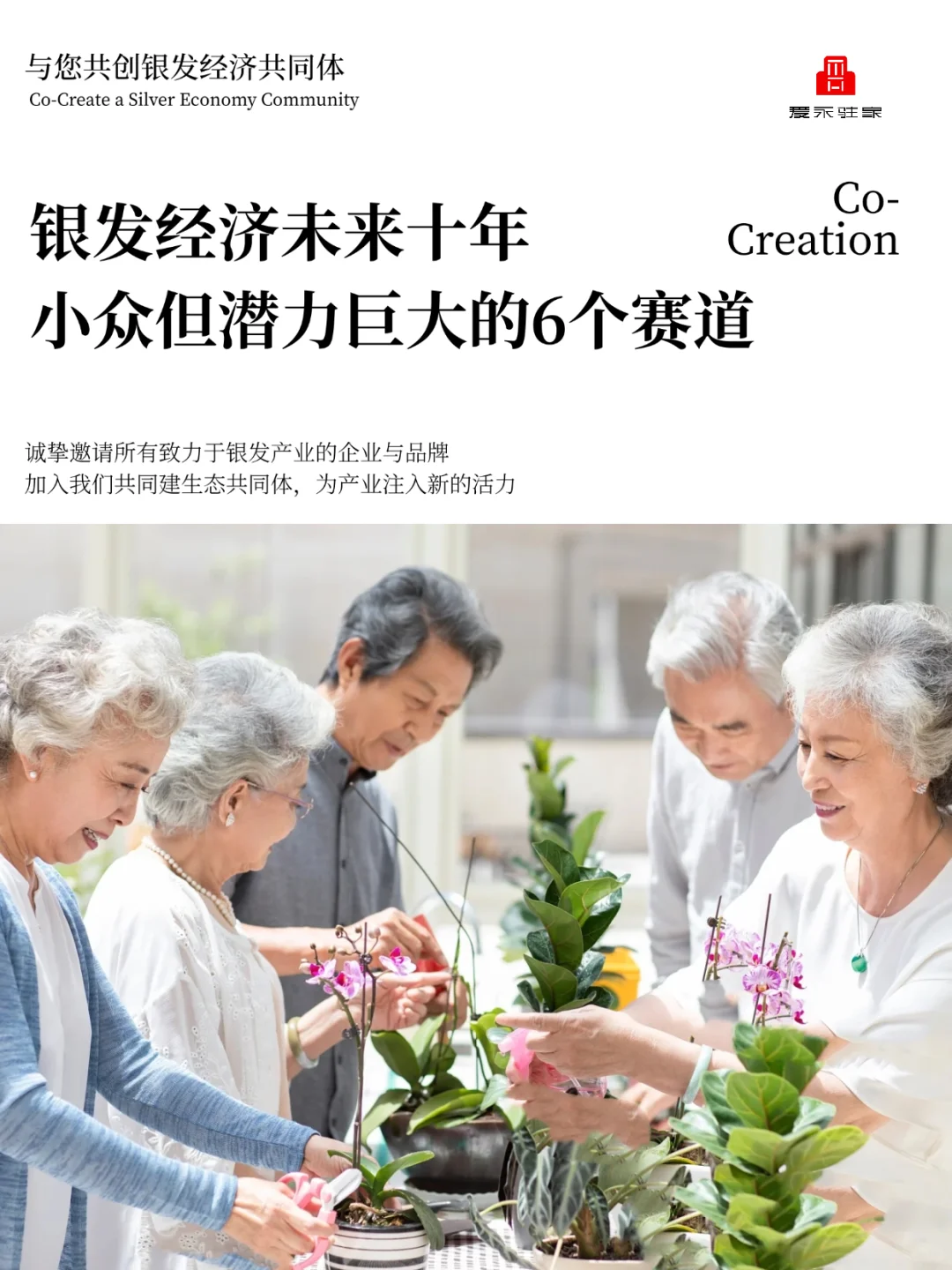 银发经济未来十年：小众但有潜力的6个赛道