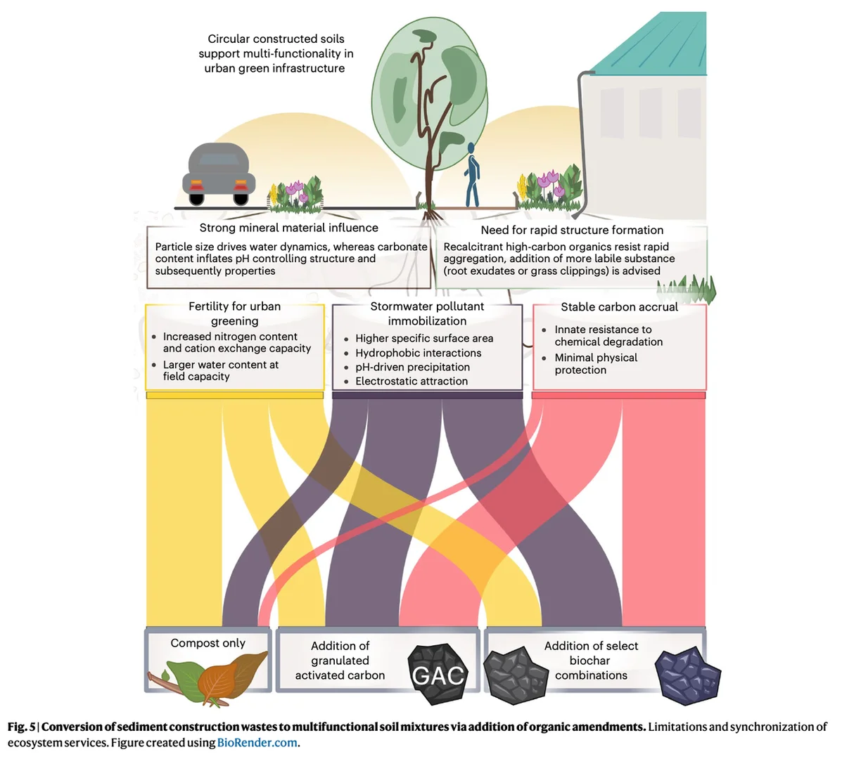 变废为宝：用城市垃圾打造“超级土壤”