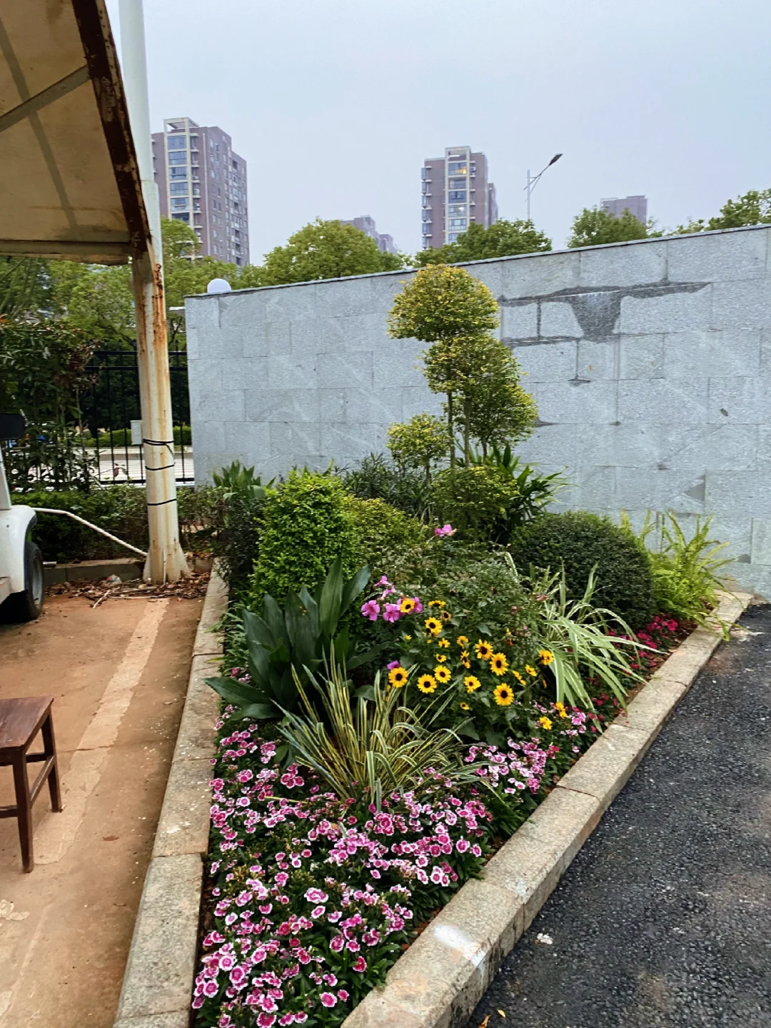 这小区也太好看了吧