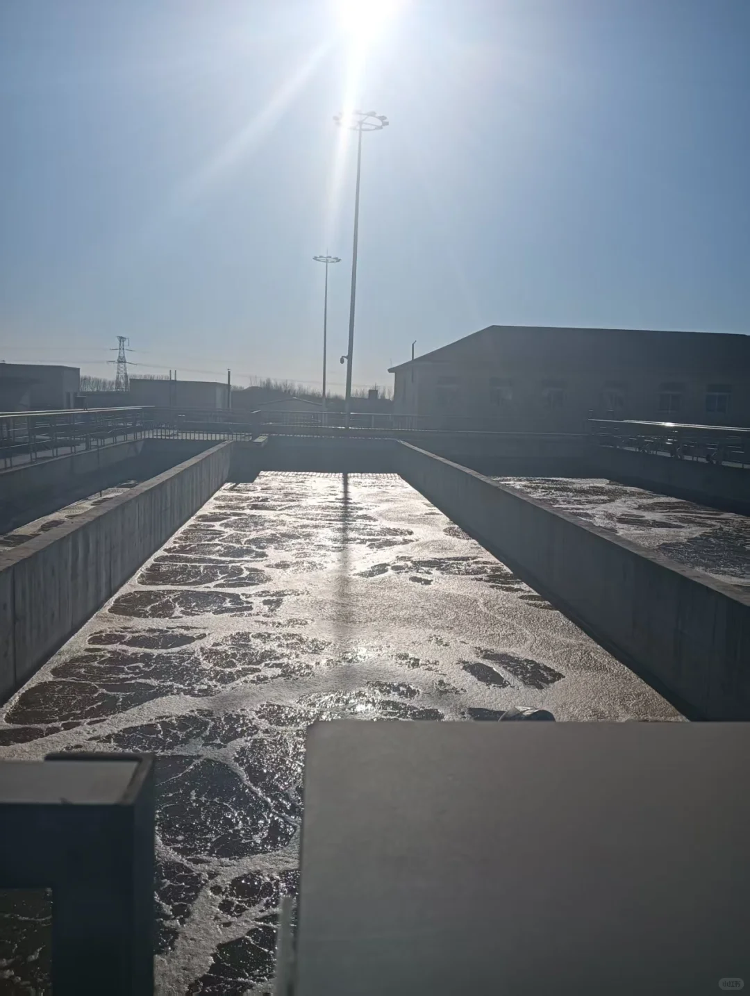 污水厂长日记-星期五?