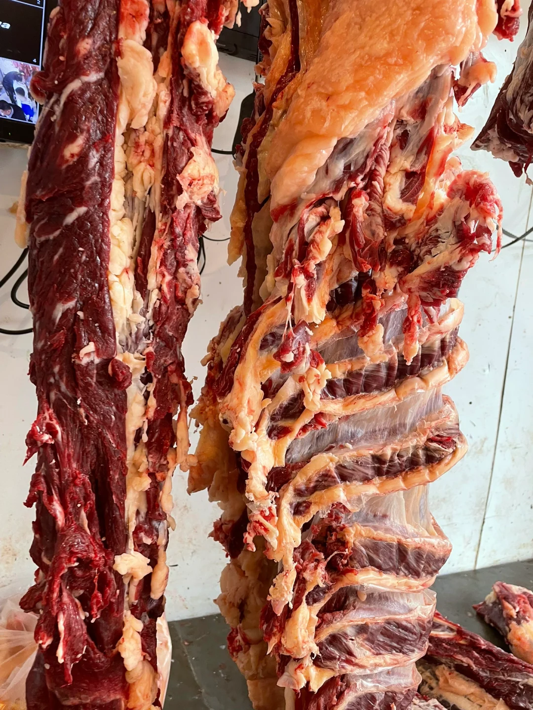 黄膘牛肉货源稳定