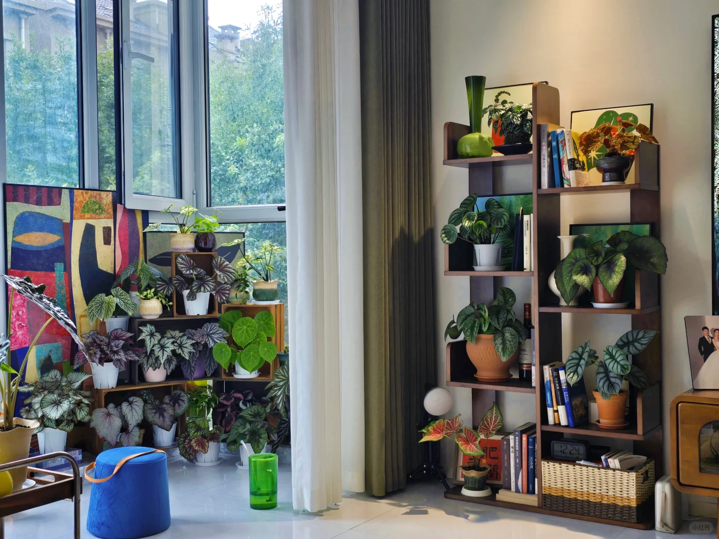 你们买花花了多少钱了