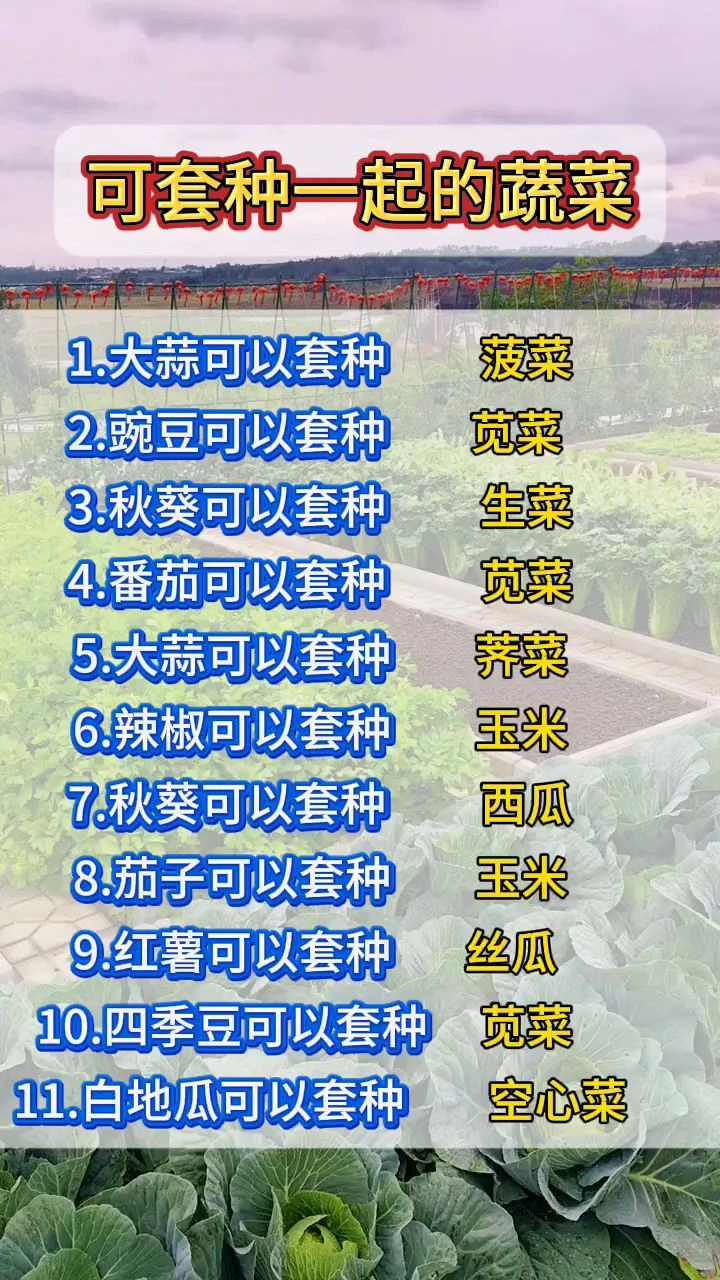 快收好10张蔬菜套种图随时备用种好蔬菜