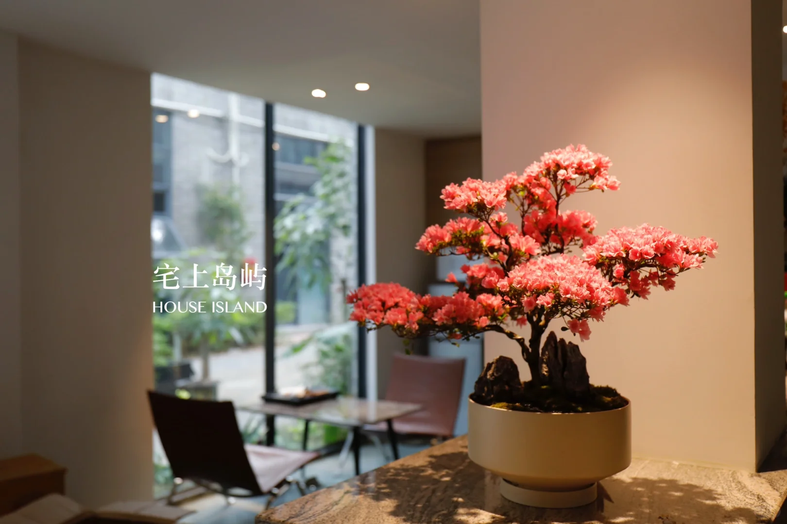 年花设计｜珍珠杜鹃