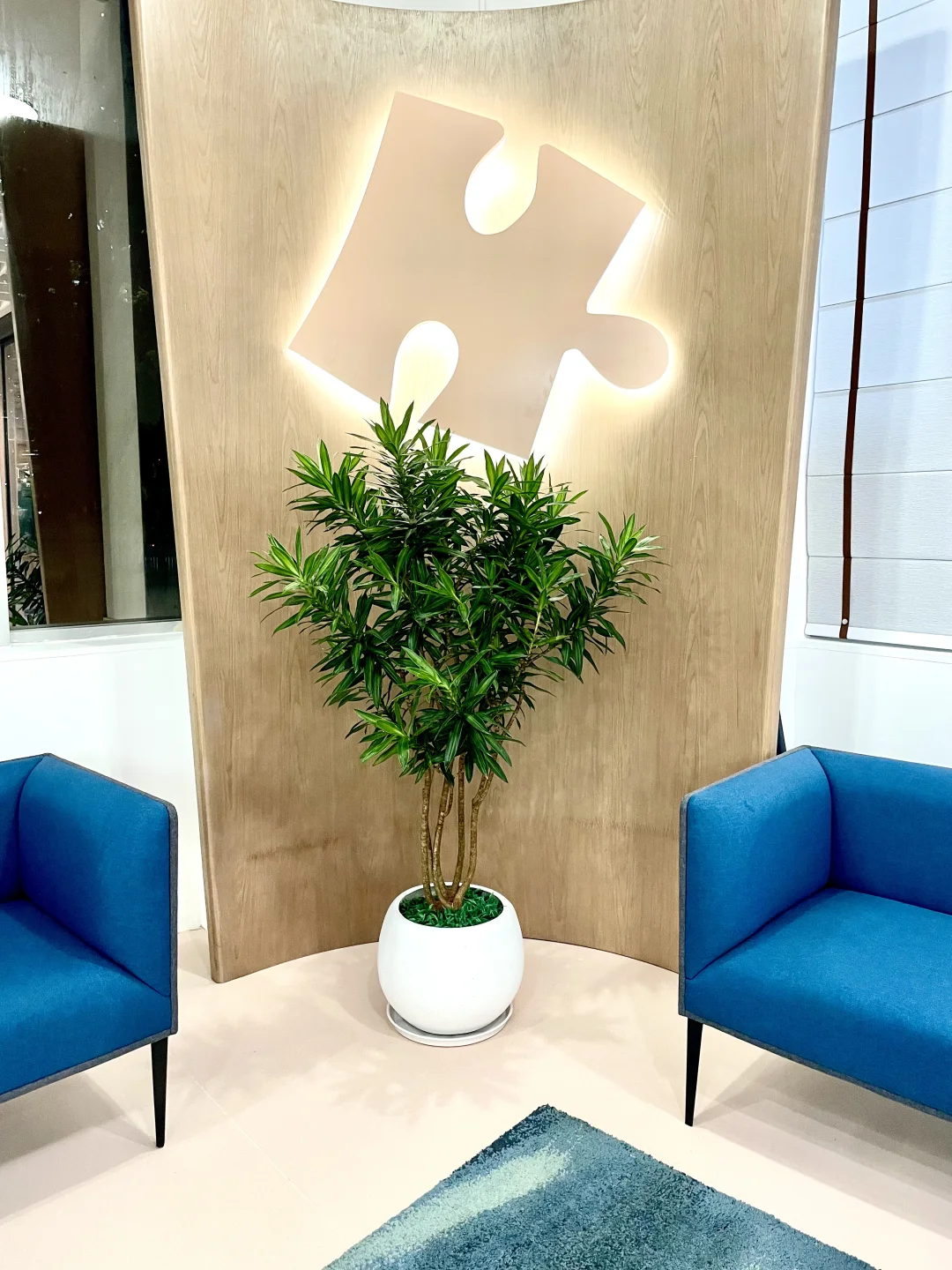 室内落地绿植花卉