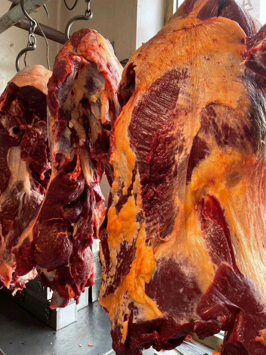 黄膘牛肉货源稳定