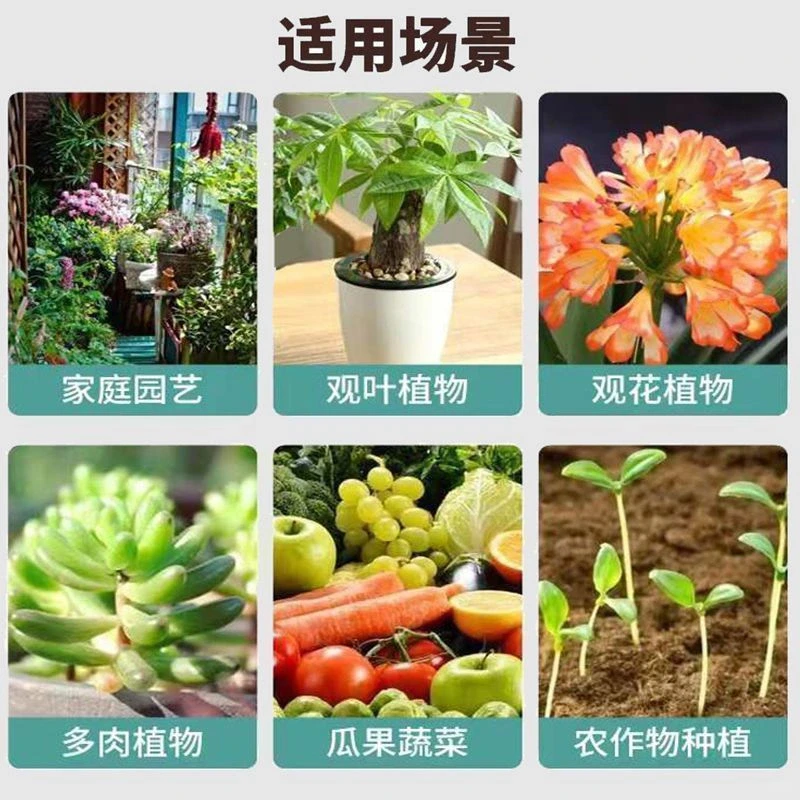 ?让土壤焕发新生，植物茁壮成长?