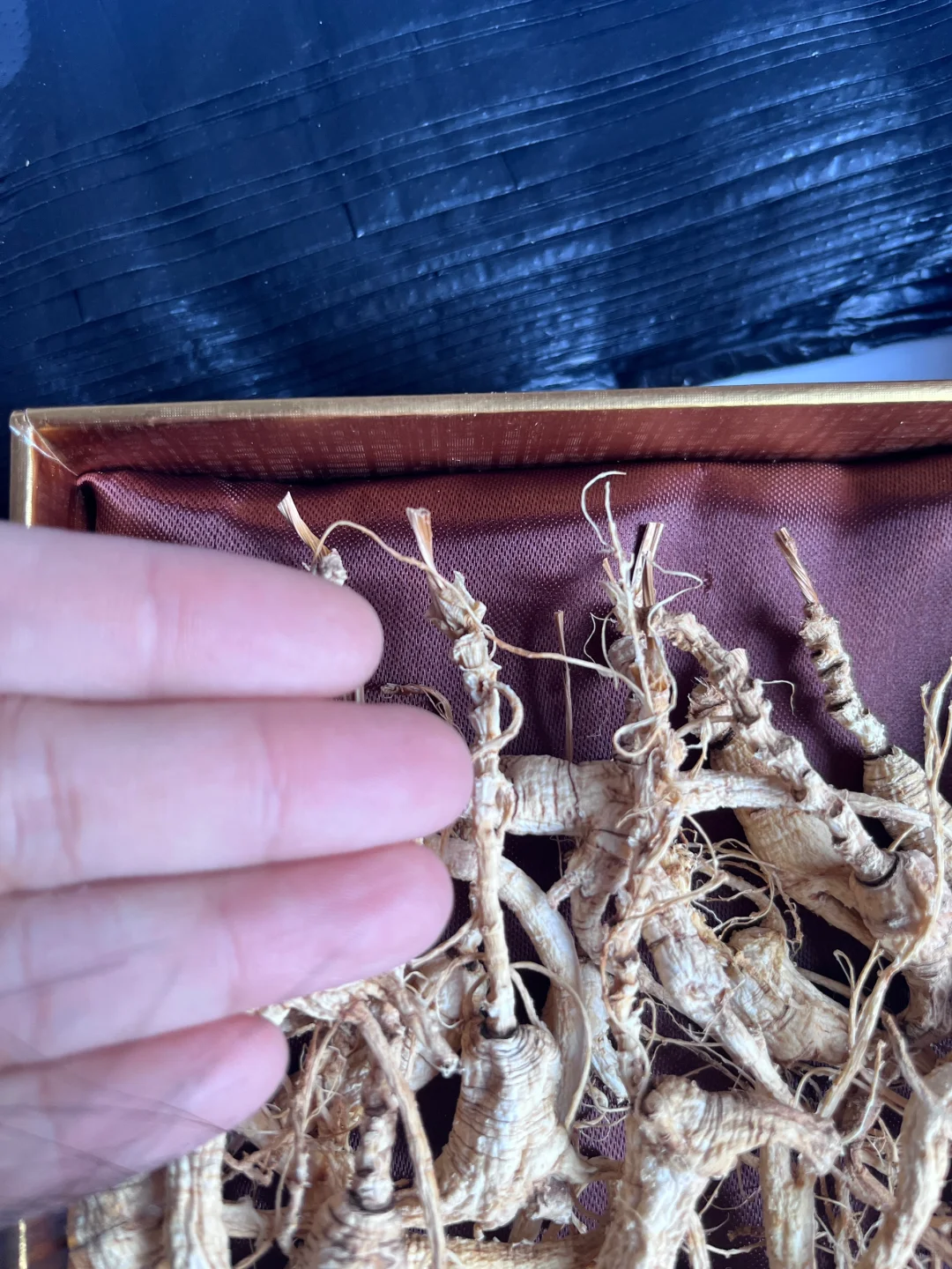 三十年的林下籽货