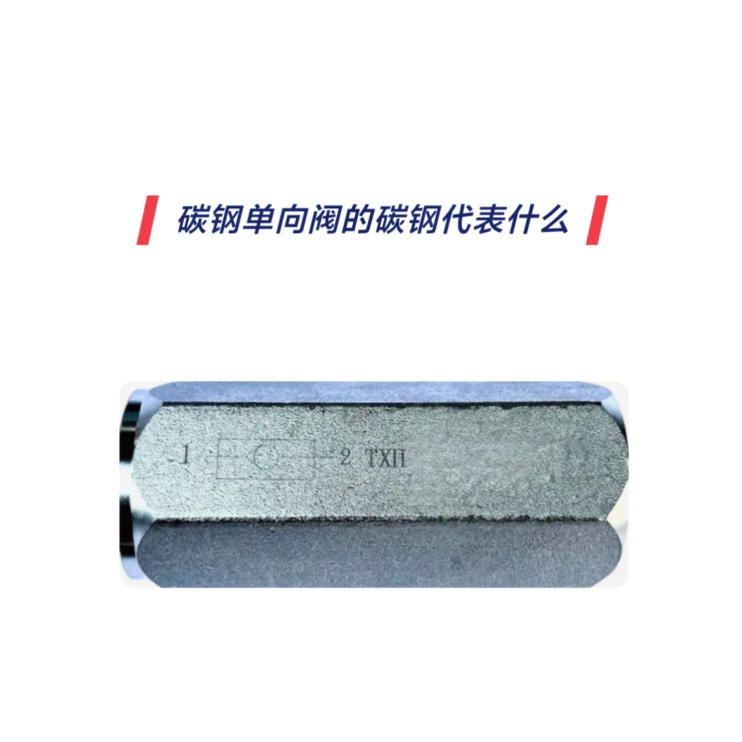 碳钢单向阀的碳钢是指什么？