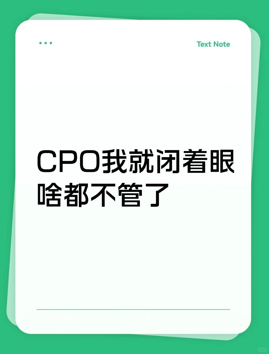 CPO我就闭着眼啥都不管了