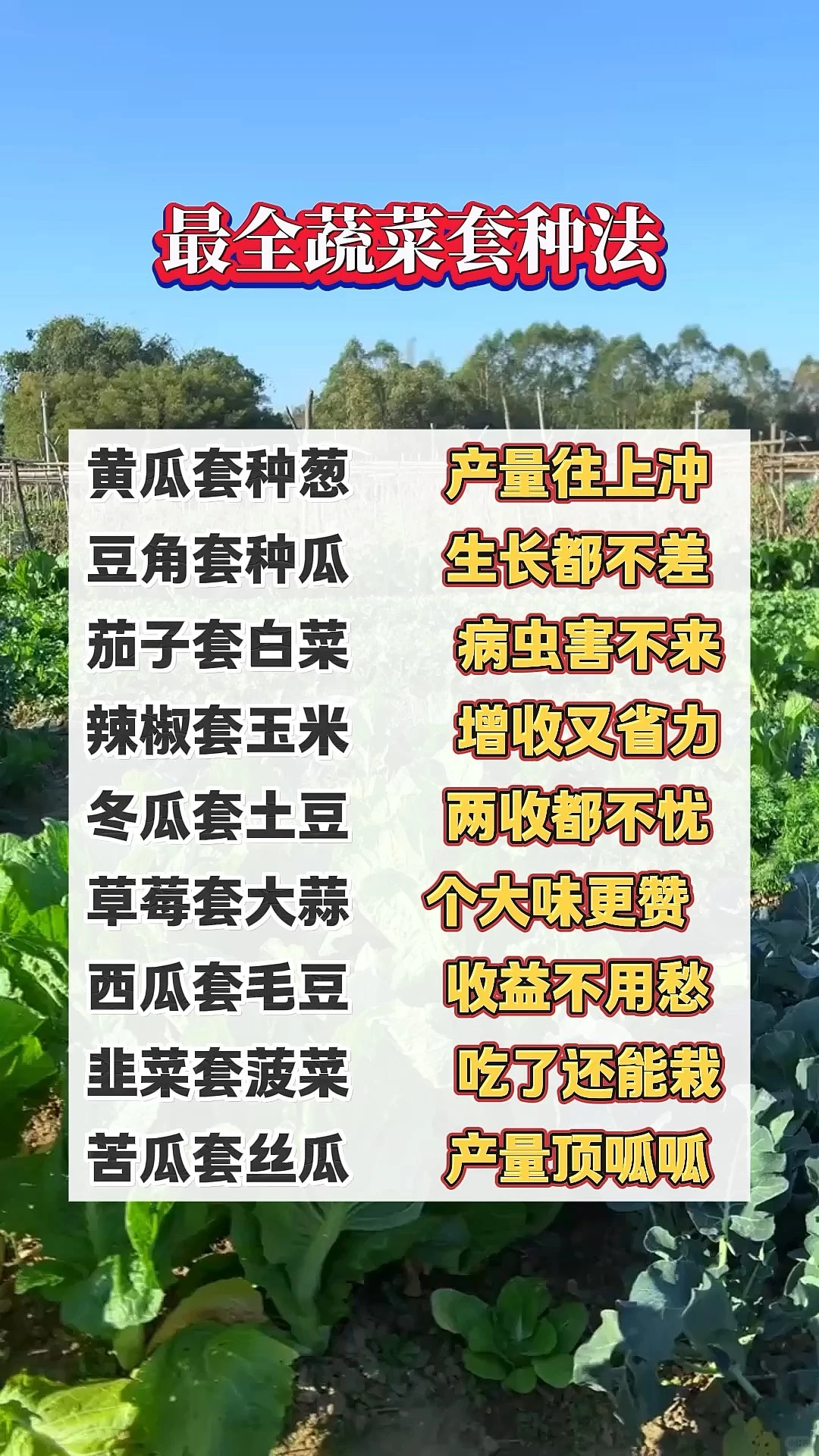 快收好10张蔬菜套种图随时备用种好蔬菜