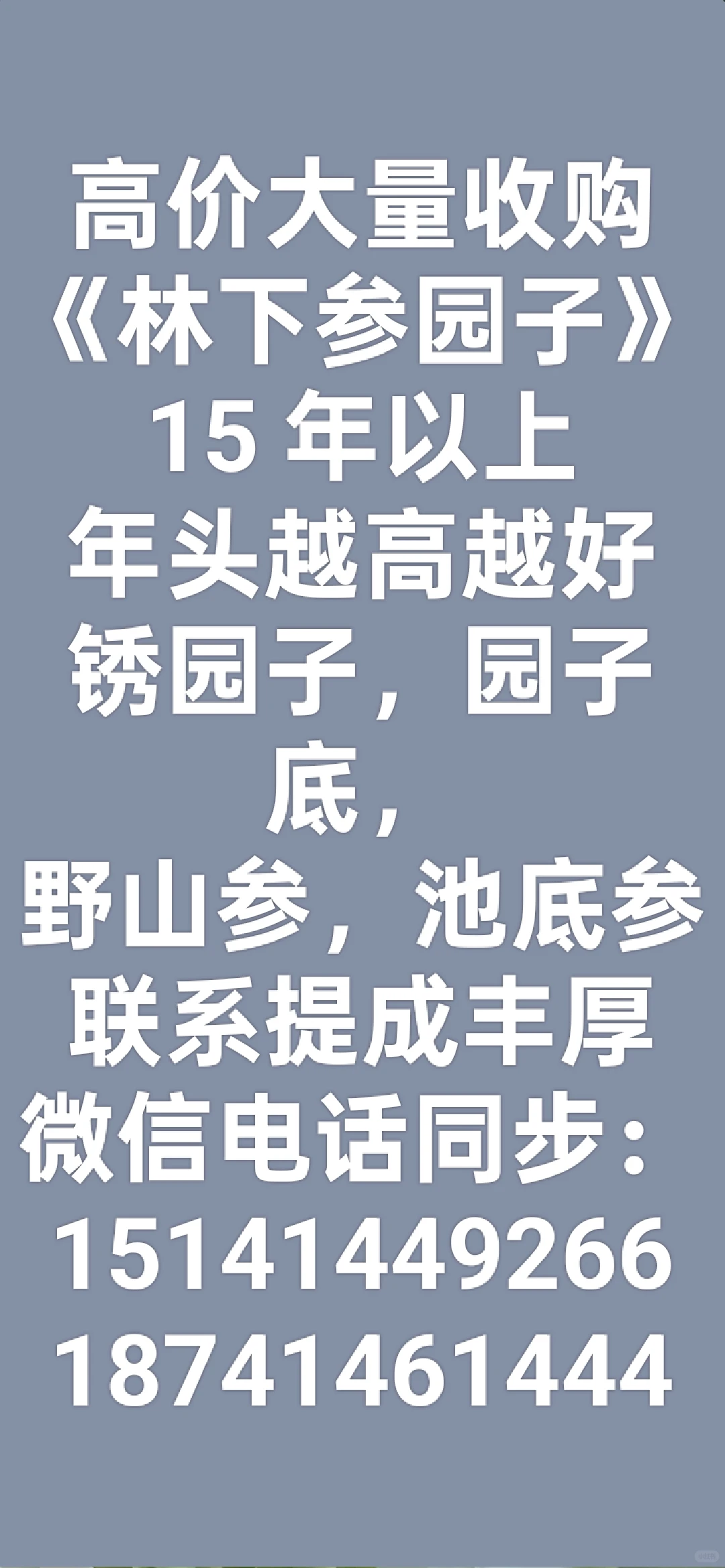 深山寻宝，品味自然的馈赠 ?