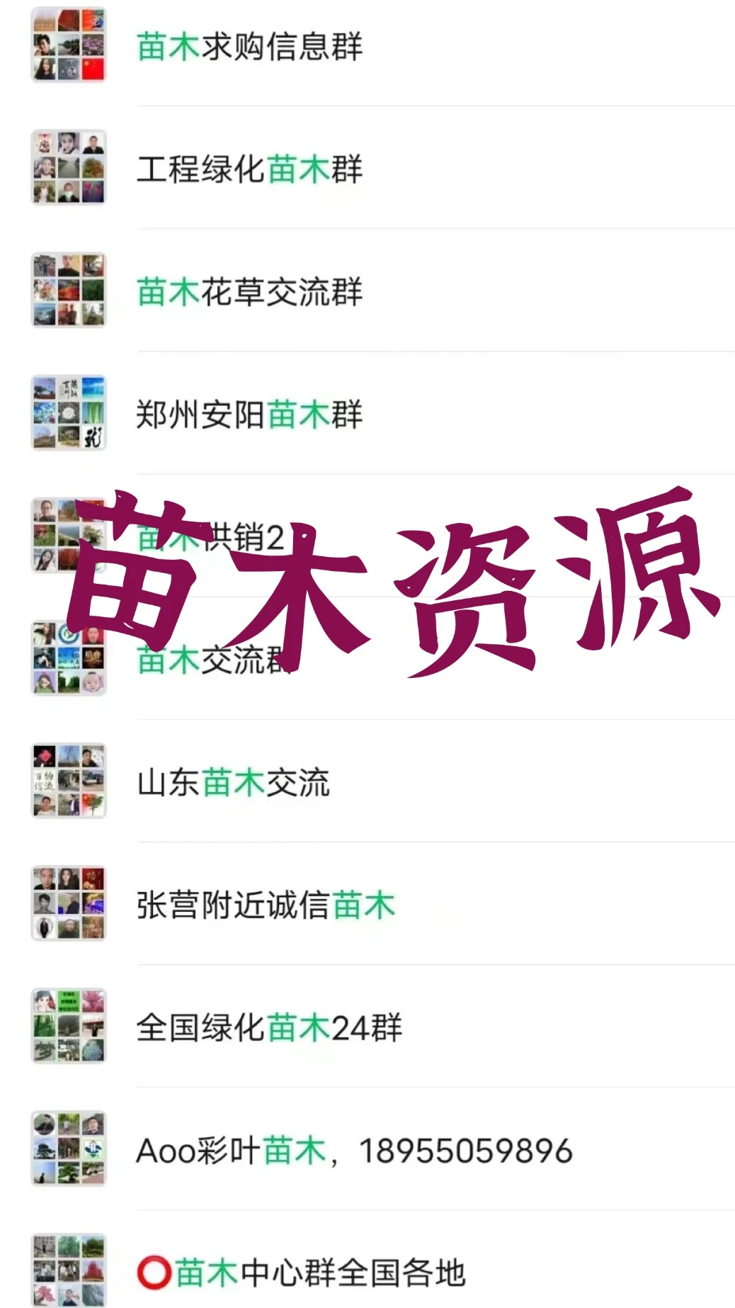 ?苗木人速集合！苗木行业内部资源群大公