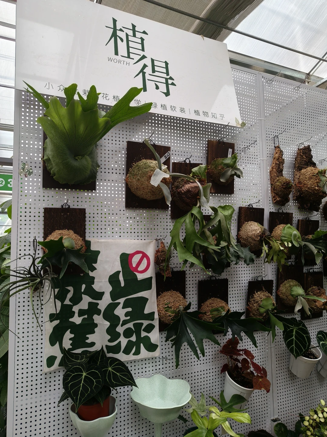 周末就去叁五壹壹吧！