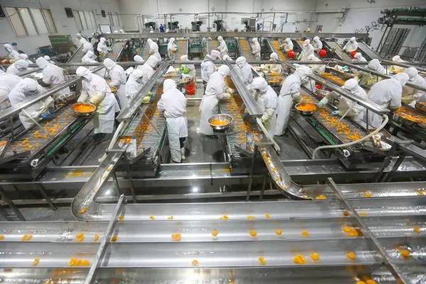 食品车间设计的首要原则是什么