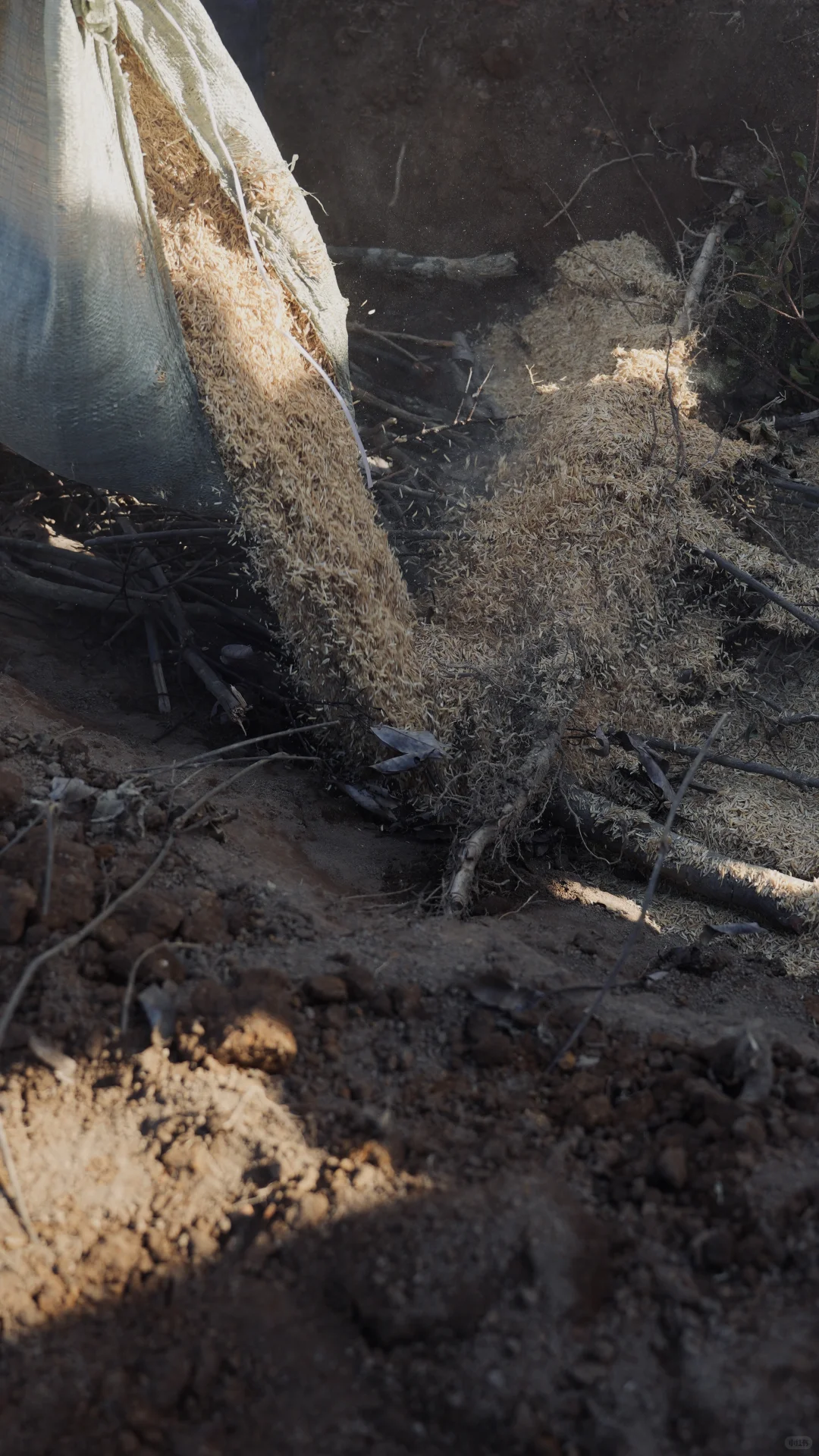 酵素的制作与土壤的快速改良。