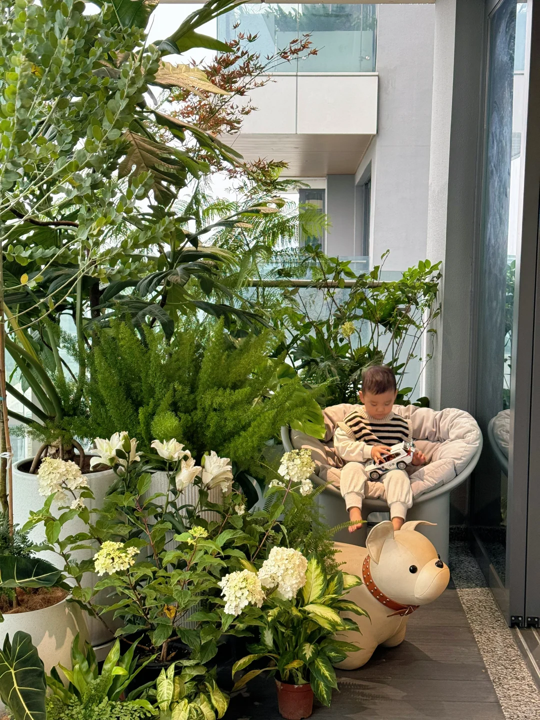 谁懂！在这个阳台我真的坐了一下午了?