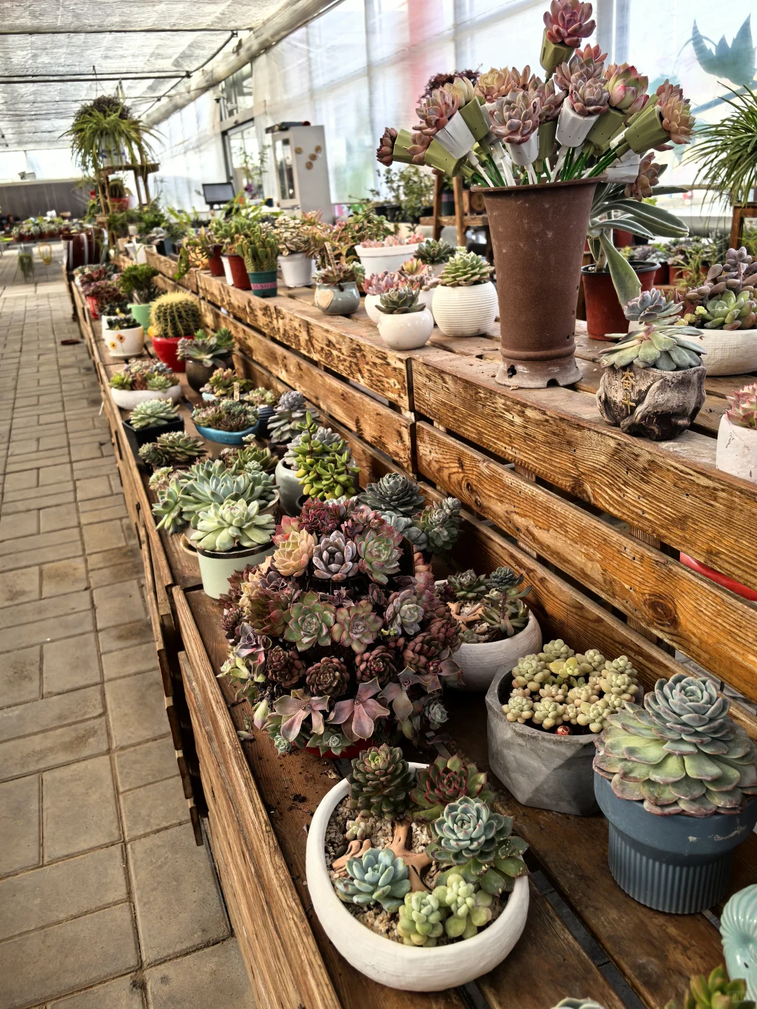 鑫善百园花卉大厅真不错！