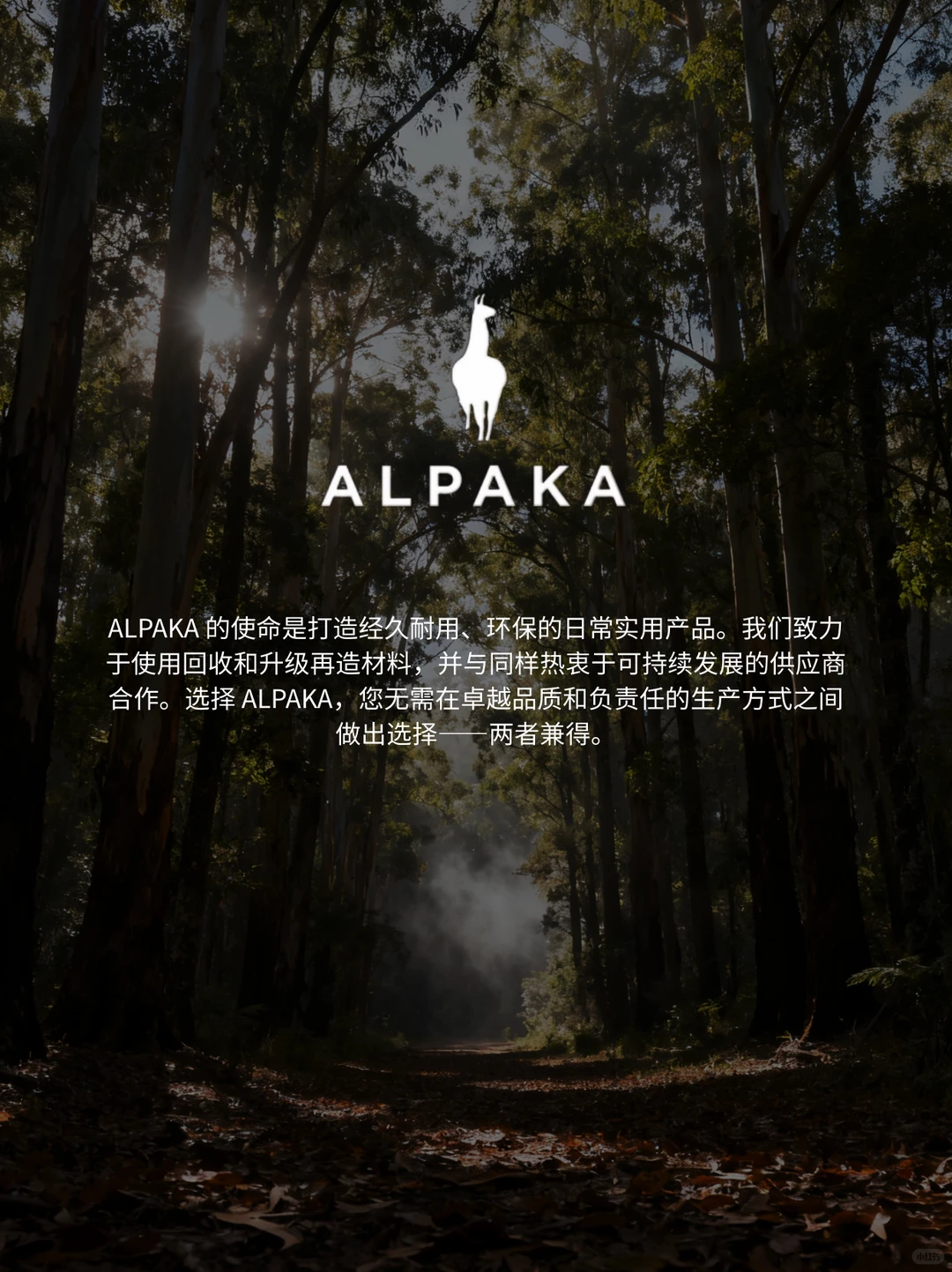ALPAKA | 环保，是更高级的实用主义