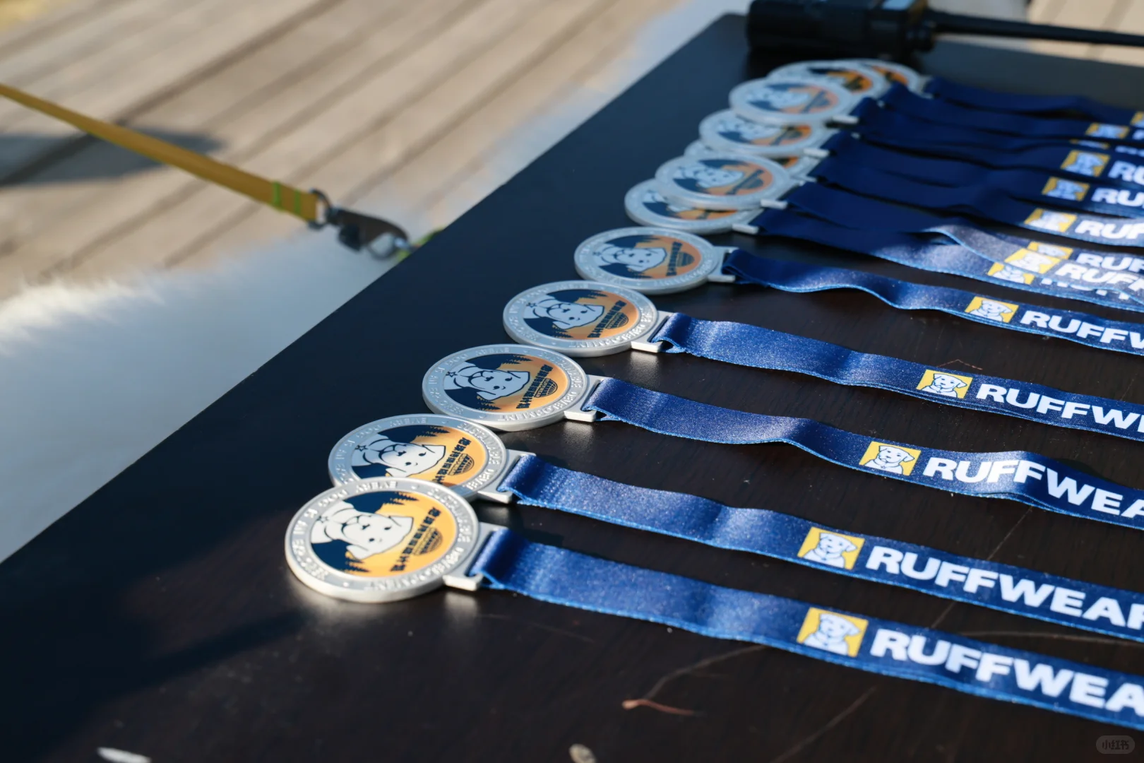 带狗净山被拉夫威尔狠狠圈粉！！