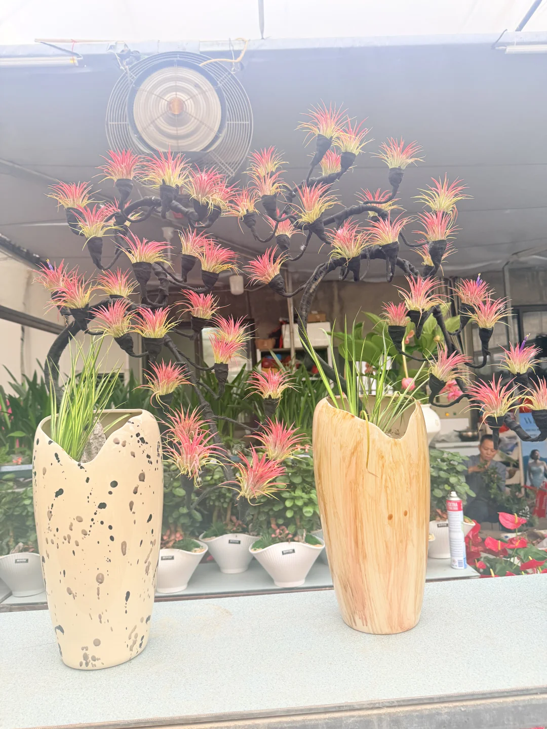 这花太漂亮了！太好拍了！