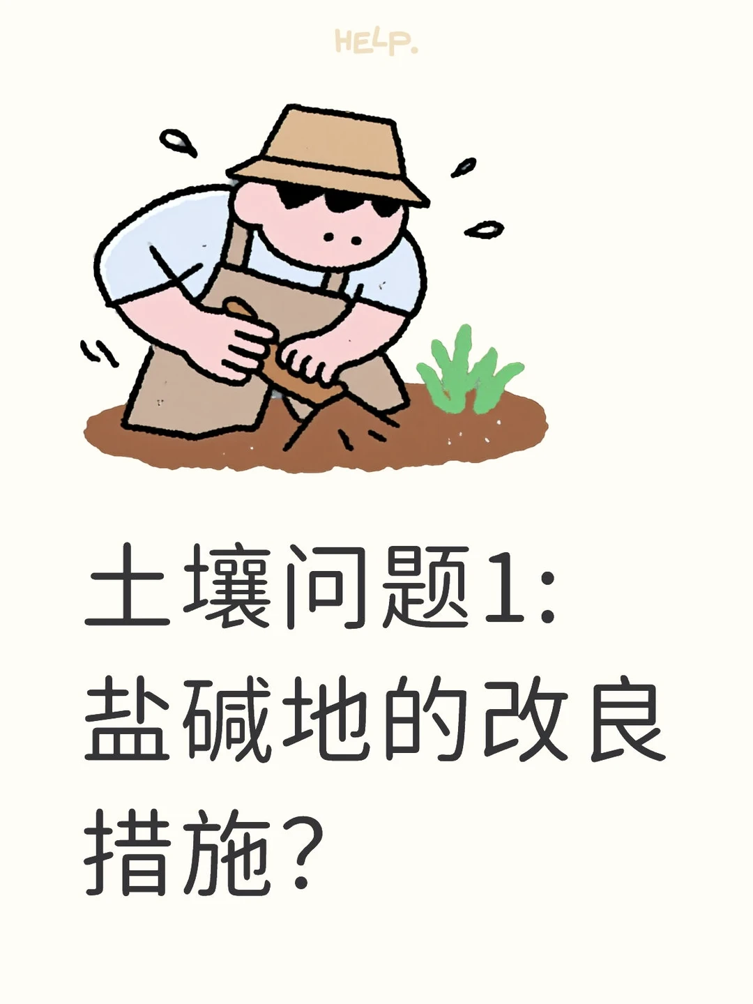 土壤问题1:盐碱地的改良措施？