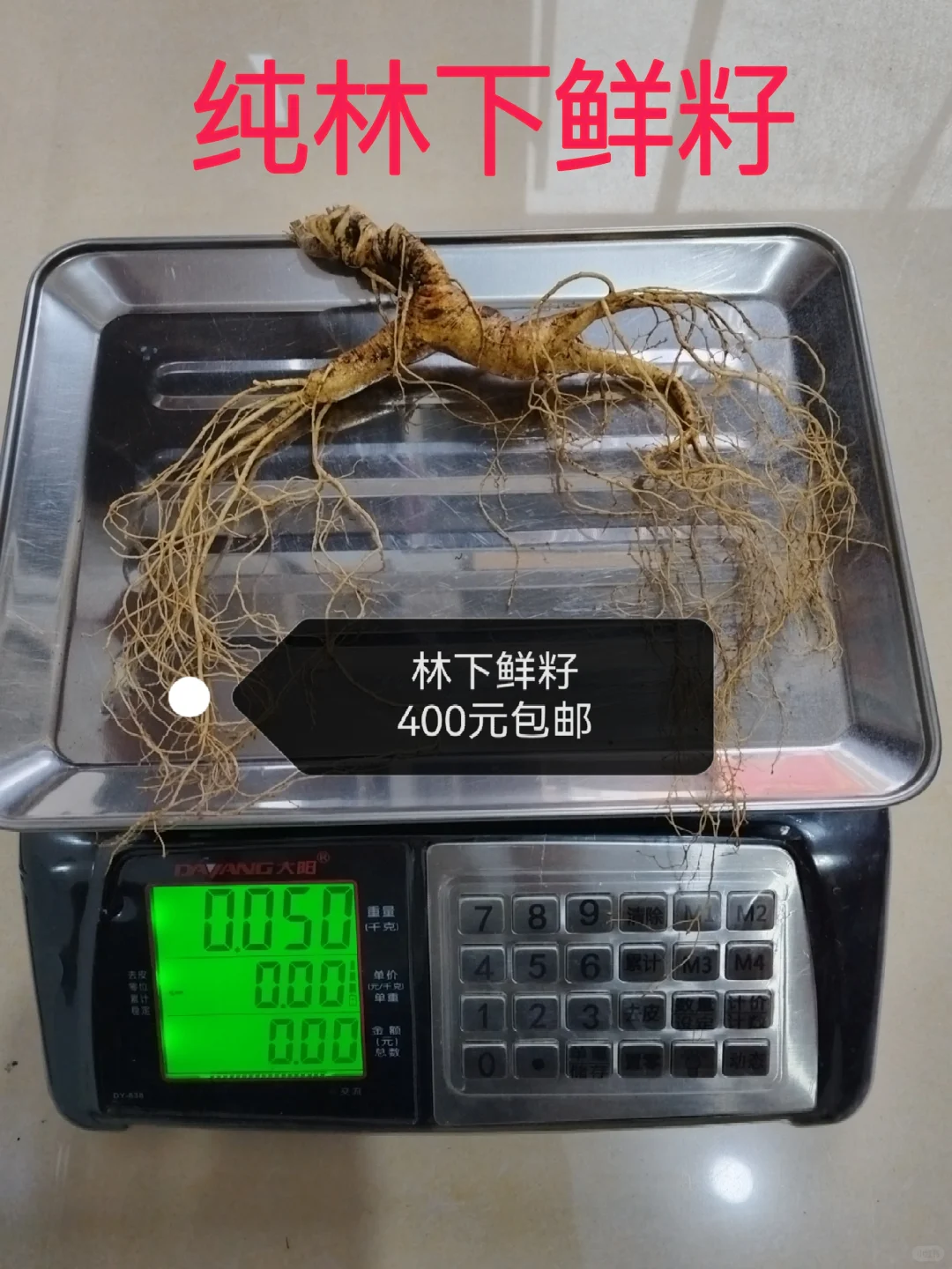 自然林下籽嘎嘎纯