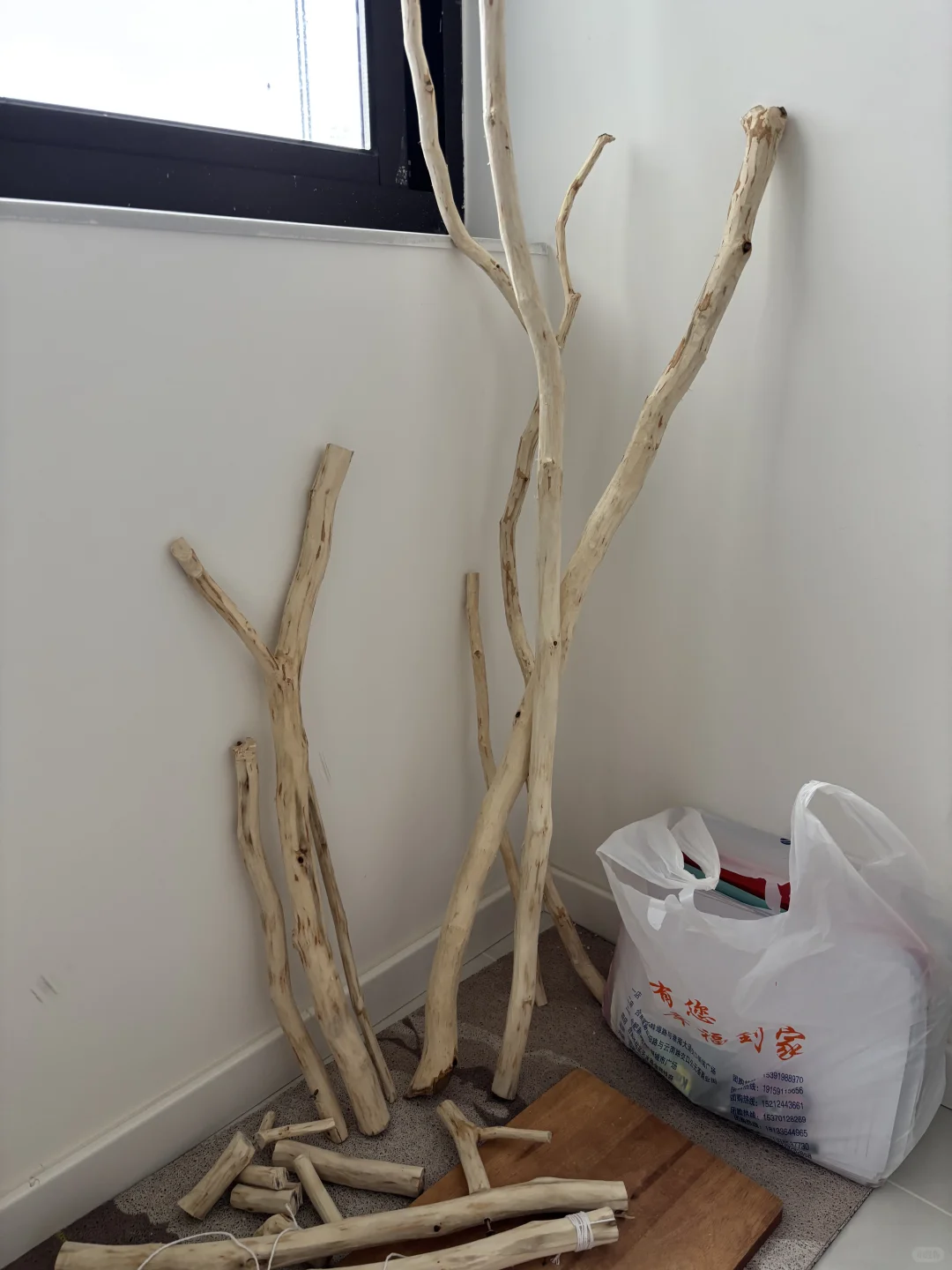 路边的树枝diy 手工