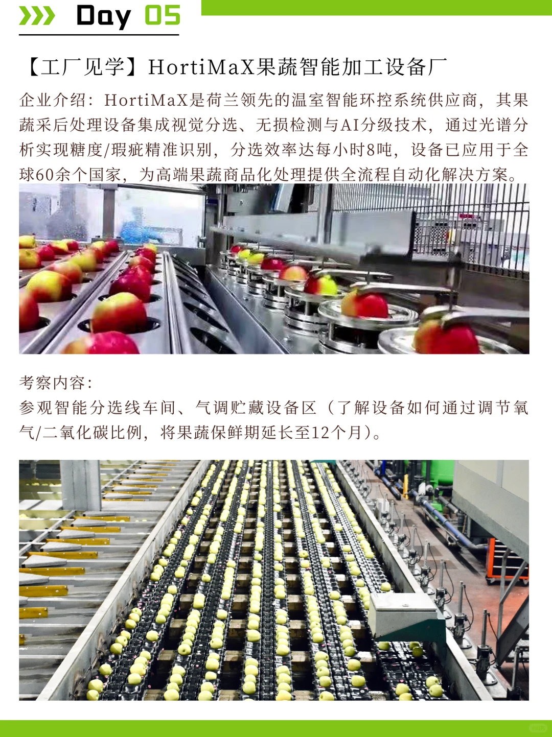 荷兰食品考察：探索植物基与科技加工趋势