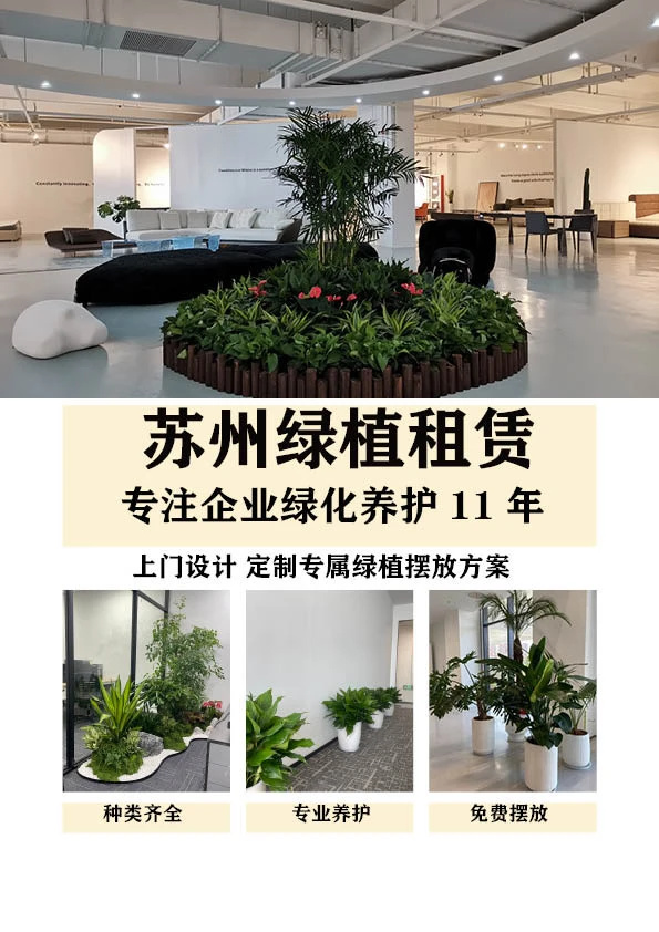 苏州绿植租赁｜11年专注绿植租赁?