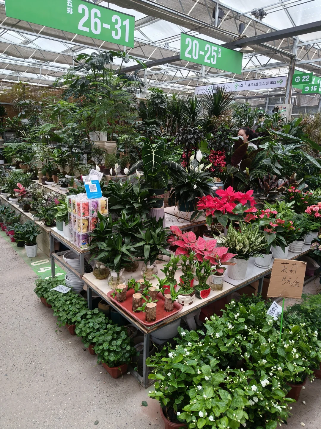 周末就去叁五壹壹吧！