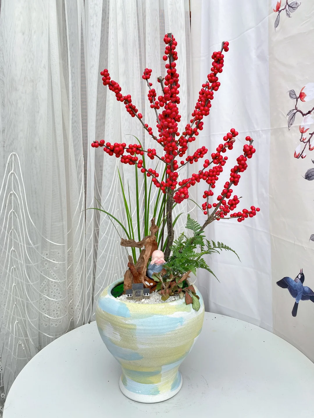 北美冬青精品盆栽上新