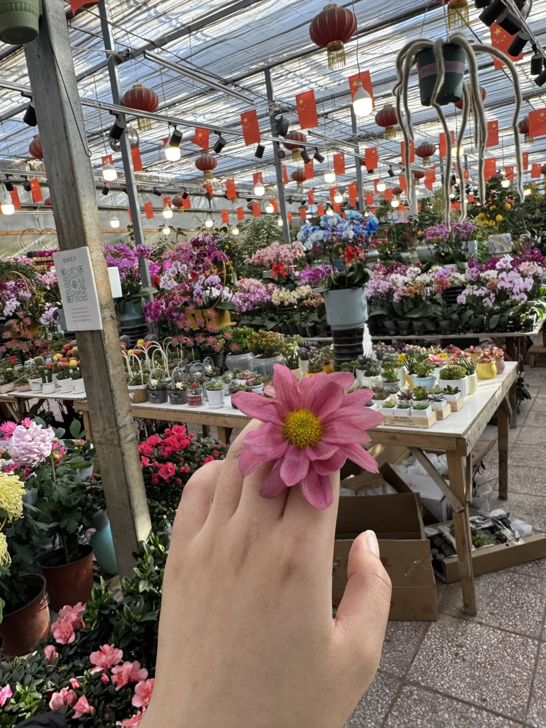 北京农科院花卉市场