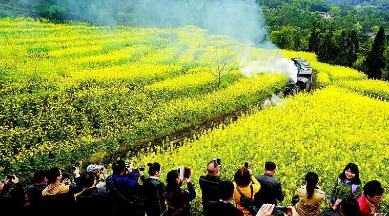 互联网时代的农村旅游业