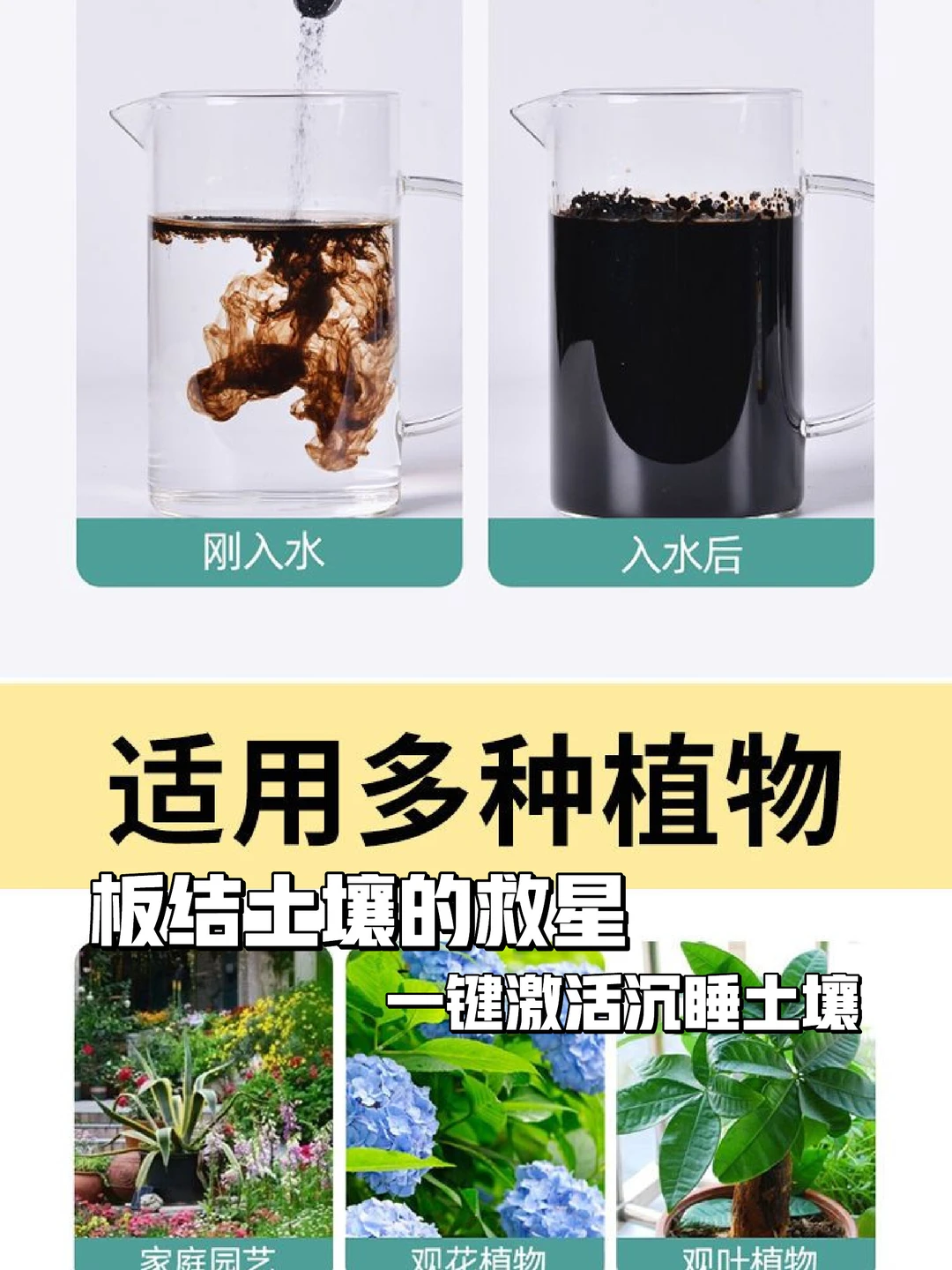 ?土壤活化剂，花卉生长必备?