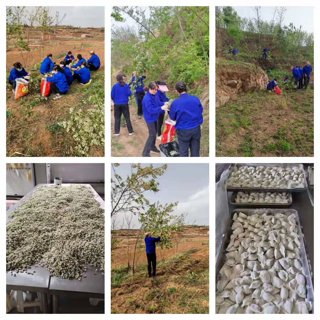 为安全护航，为节约助力，为环保添彩！?