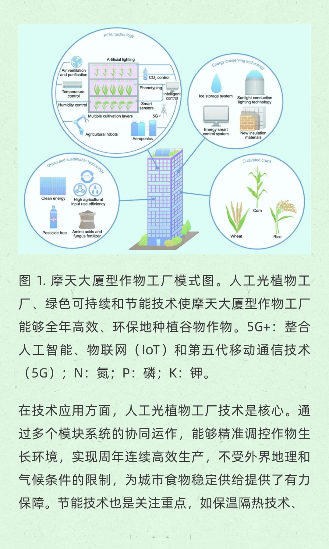 未来农业新趋势！摩天大厦变身作物工厂