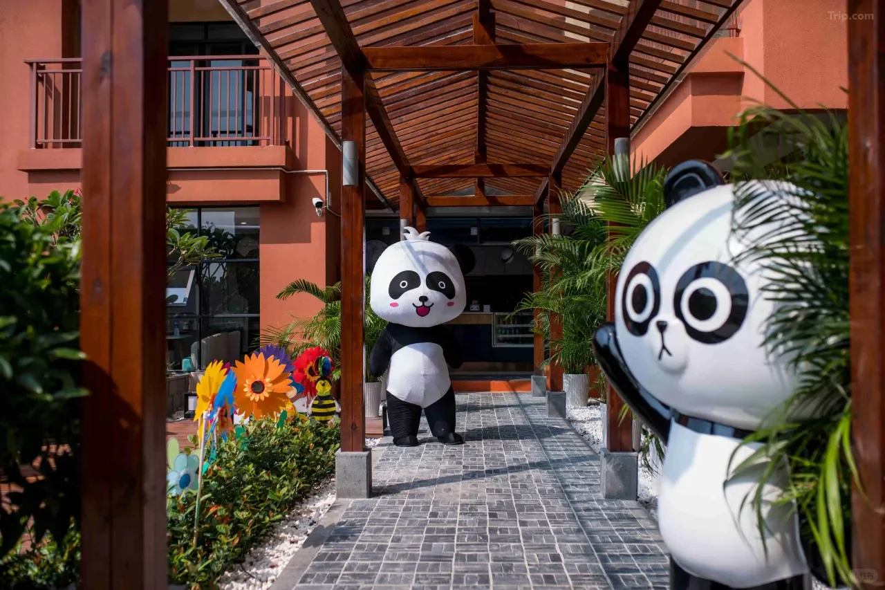 泡半山温泉，玩转熊猫乐园！