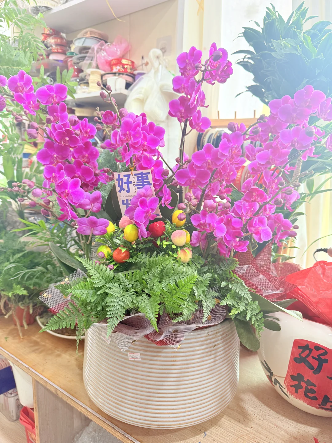 这花太漂亮了！太好拍了！