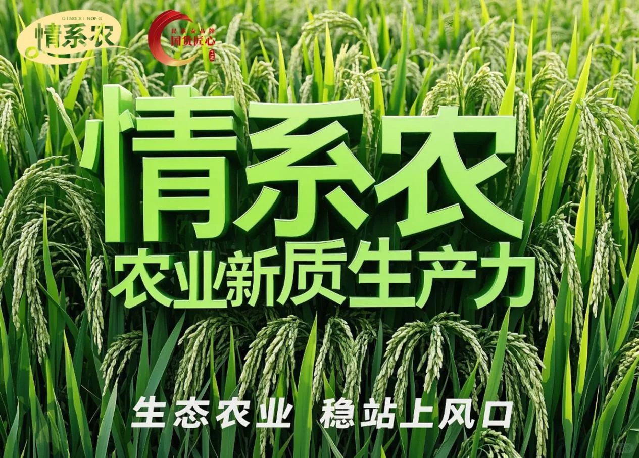 情系农 | 一号文件首提“农业新质生产力”