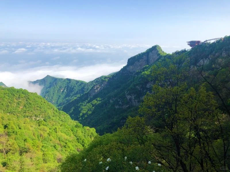 愿你心怀希望一路抵达繁华盛景