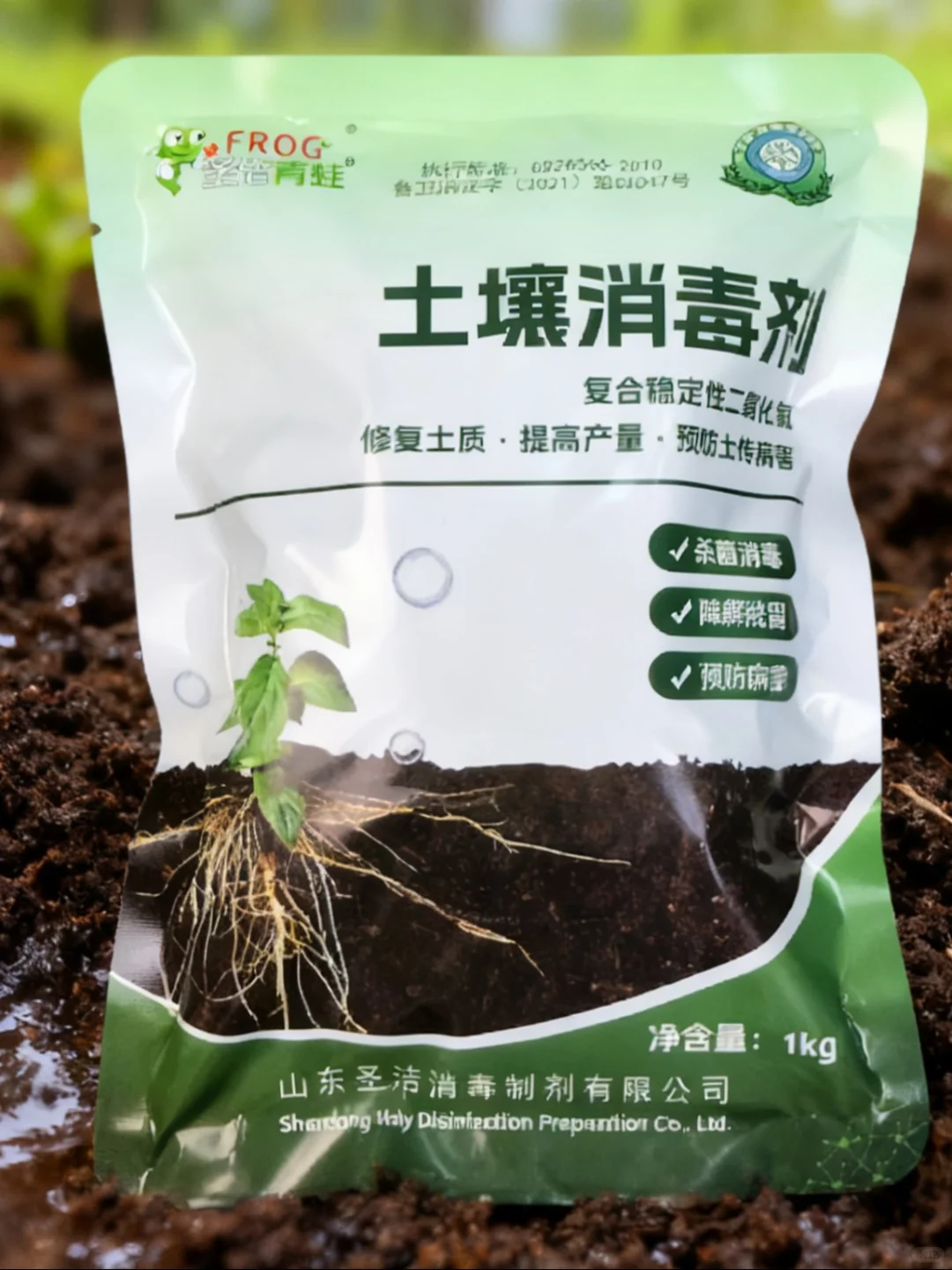 圣洁青蛙修复土壤生态基底筑牢环境支撑基础