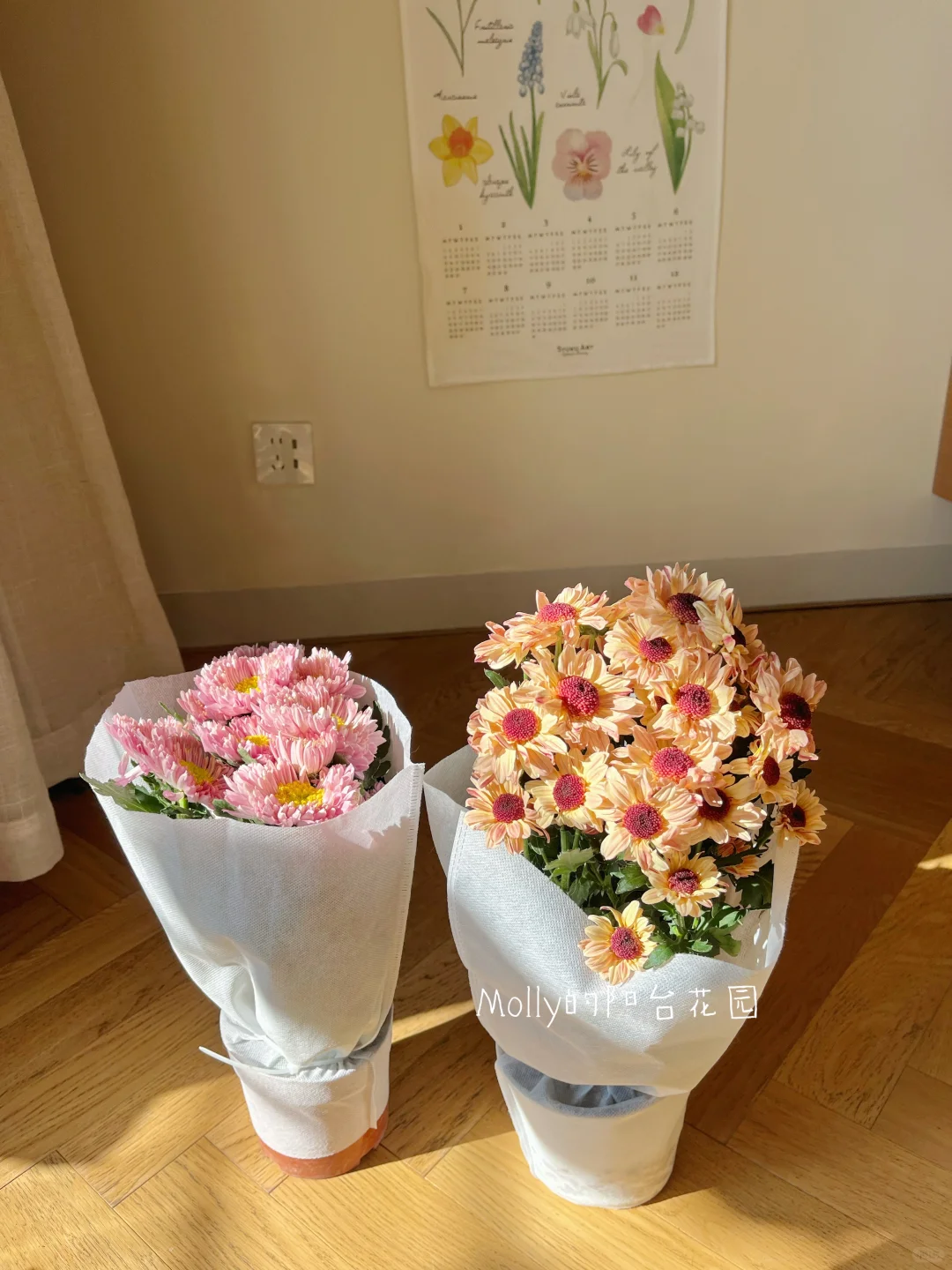 开箱了两盆让我快乐一整天的花花✌️