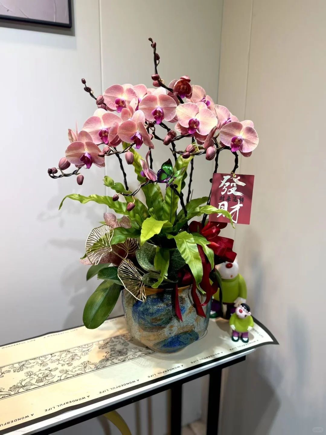 怎么会有这么美的兰花！