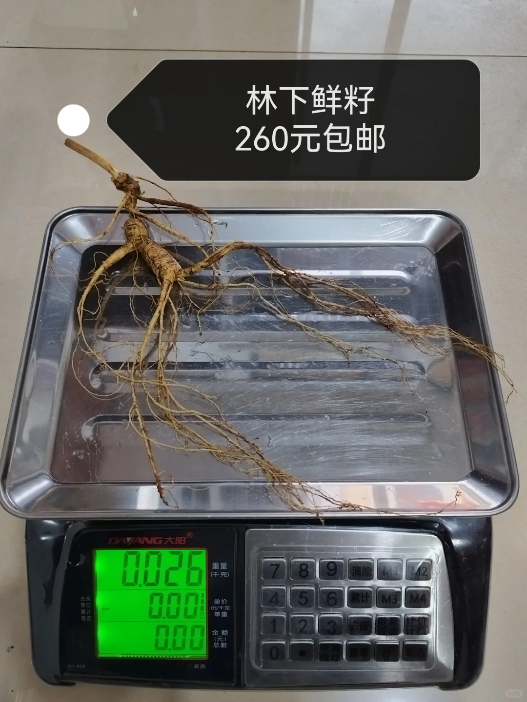 自然林下籽嘎嘎纯