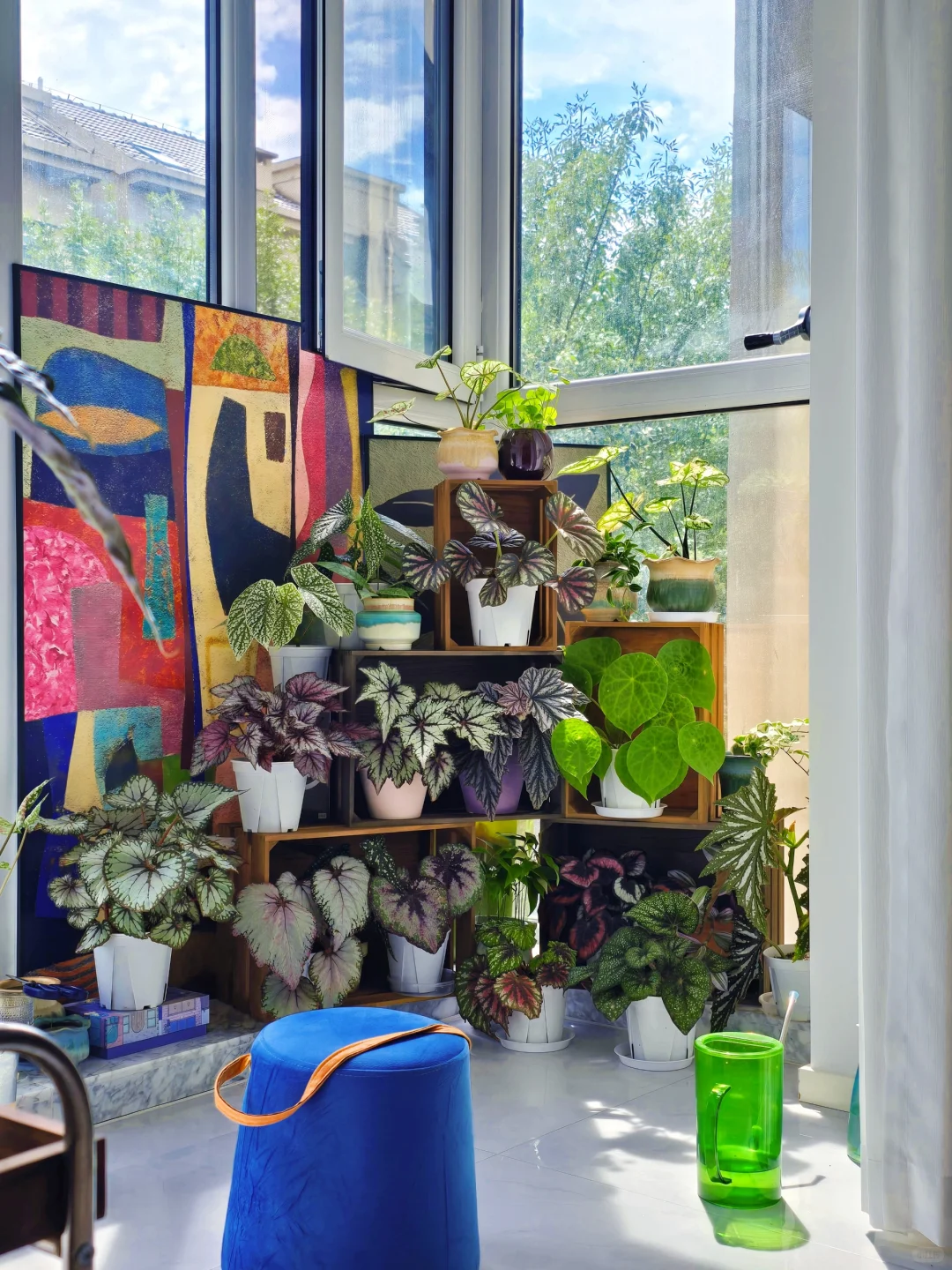 你们买花花了多少钱了