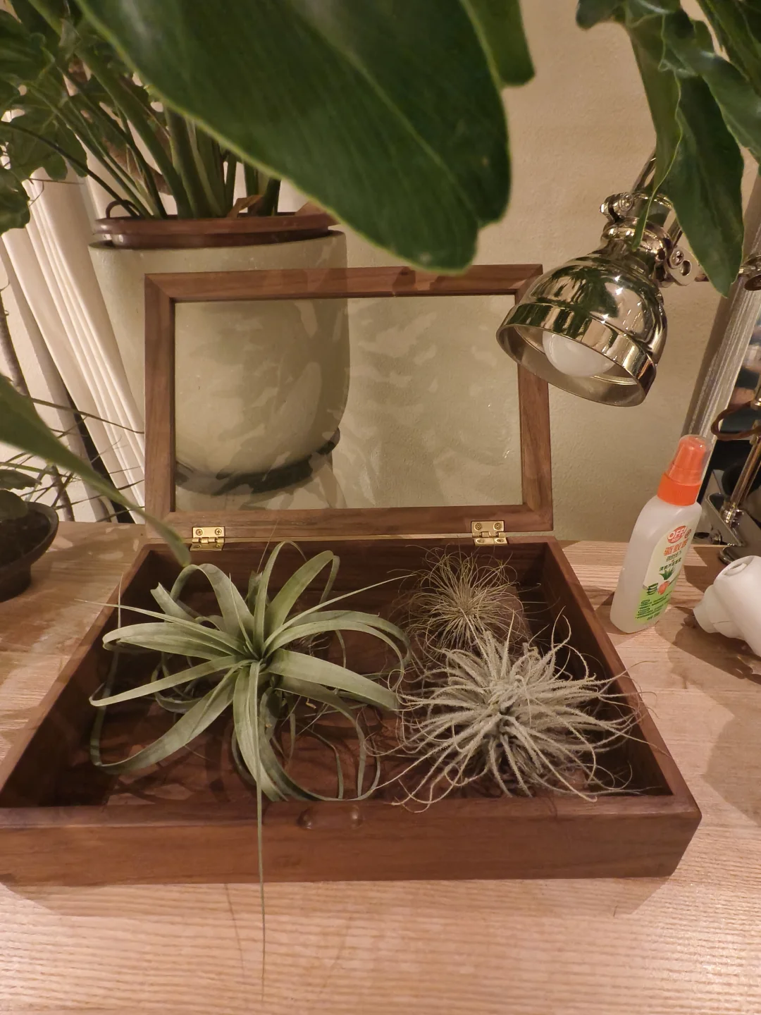 早睡13日|适合带每个crush去的花园餐厅