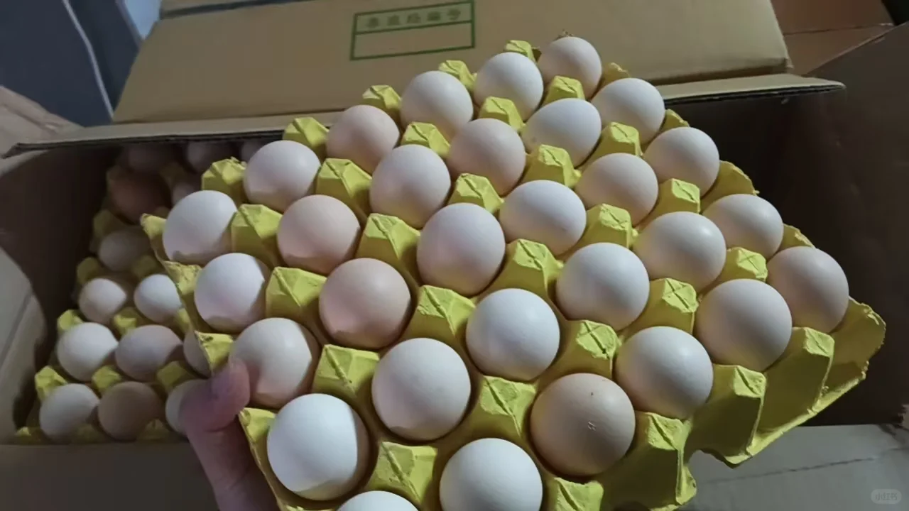 厦门鸡蛋批发商城在哪