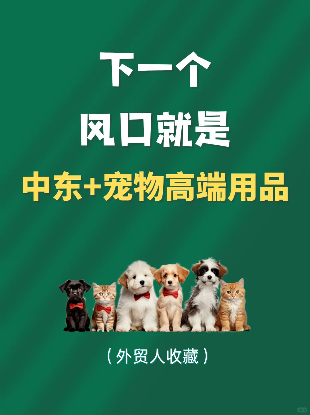 下一个外贸蓝海就是∶中东+宠物用品